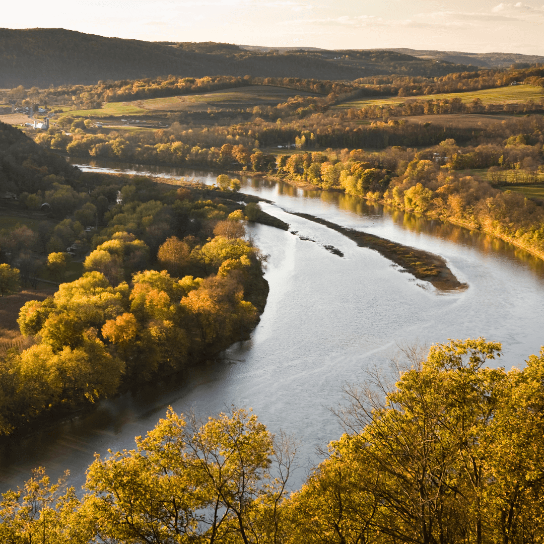 Lycoming County Conservation District